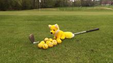 Golfschnupperkurs inklusive. Bild: YellowFox GmbH